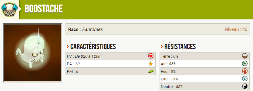 Boostache caractéristiques