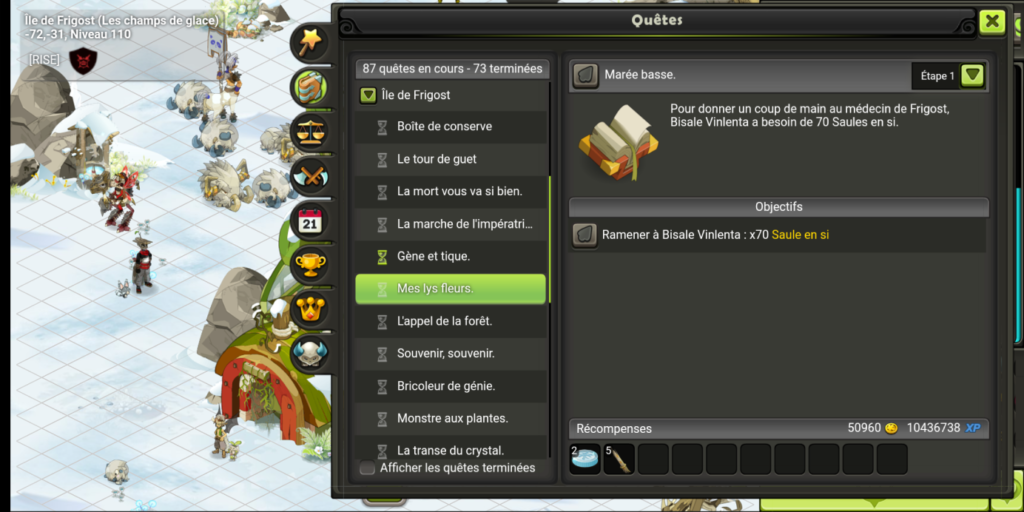 Mettre Son Grain De Sel Dofus