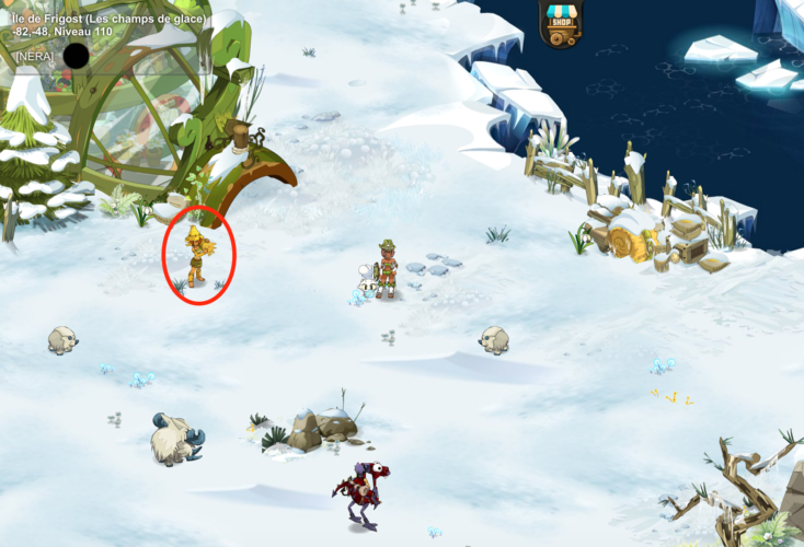 Mettre Son Grain De Sel Dofus