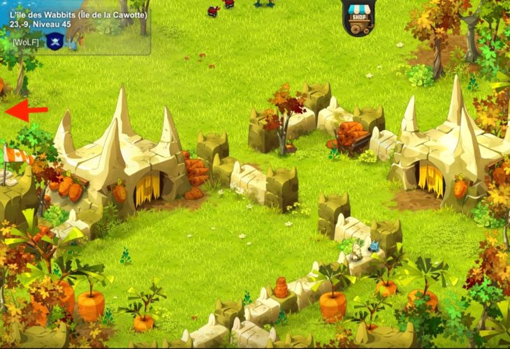 [Chemin] Terrier du Wa Wabbit Le Bazar de Papycha